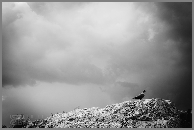 � Kalli Bellou / www.kallibellou.com